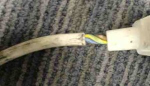 Core Wires Exposed